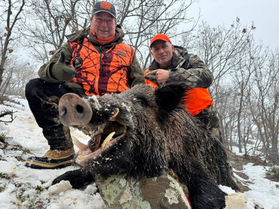Driven Wild Boar hunting in Turkey by A1 DECOY LTD, featuring hunters and wild boars during a 5-6 day shooting trip in February 2027.