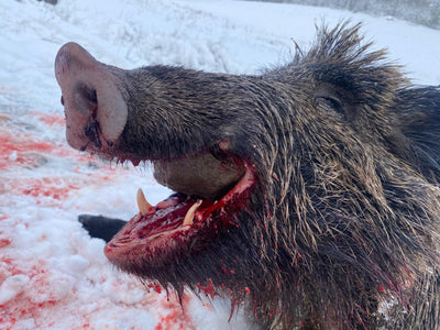 A1 DECOY LTD wild boar hunting scene in Turkey's Hidden Valley, January 2026, showing hunters and a wild boar in a natural landscape.