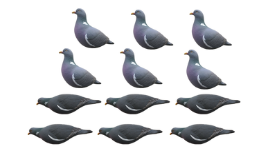 Pack of 12 Final Approach Wood Pigeon Decoys by A1 DECOY LTD for hunting or decoy use, featuring realistic bird designs.