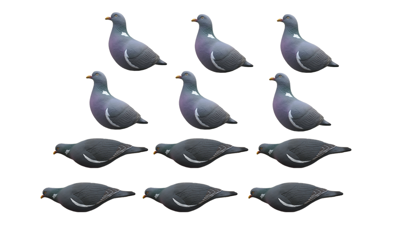 Pack of 12 Final Approach Wood Pigeon Decoys by A1 DECOY LTD for hunting or decoy use, featuring realistic bird designs.
