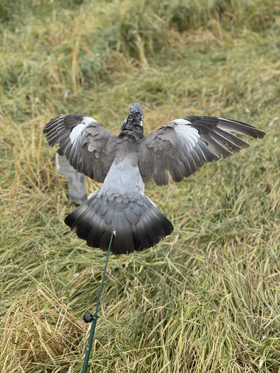 Aford Floater Lander Glider Decoy Pole with a bouncer-style float for waterfowl decoy setup.