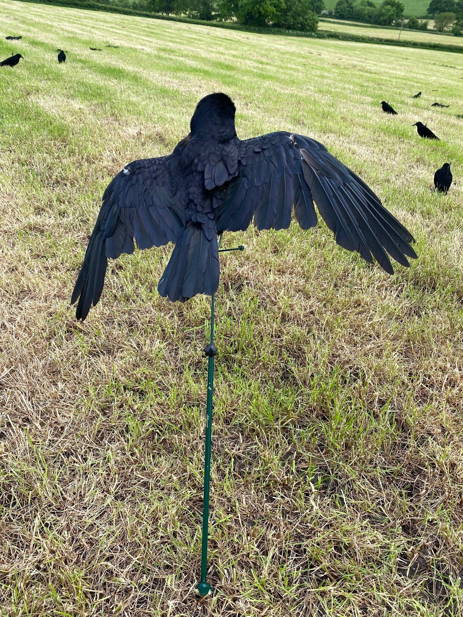 Aford Floater Lander Glider Decoy Pole, a bouncer and floater for waterfowl decoy setups, with adjustable design and durable construction.