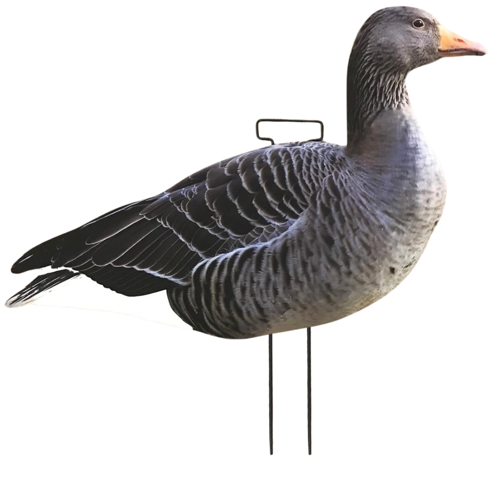 Silhouette Greylag Goose Decoy Kit by COCO featuring realistic goose decoys for hunting or wildlife decoration.