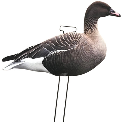 Silhouette Pinkfoot Goose Decoy Kit by COCO featuring realistic pinkfoot goose decoys for hunting and bird-watching.