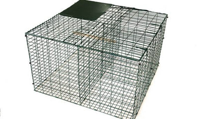 Larsen Magpie Trap by COLLINS NETS with flocked decoy for live magpie and crow pest control, featuring a legal catch cage.