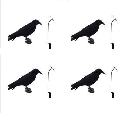Pack of 4 Flocked Crow Full Body Decoys and 4 Lofting Hooks