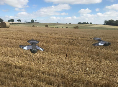 DALE Ultimate Pigeon Decoy Kit with bouncer and floaters for effective bird deterrence.