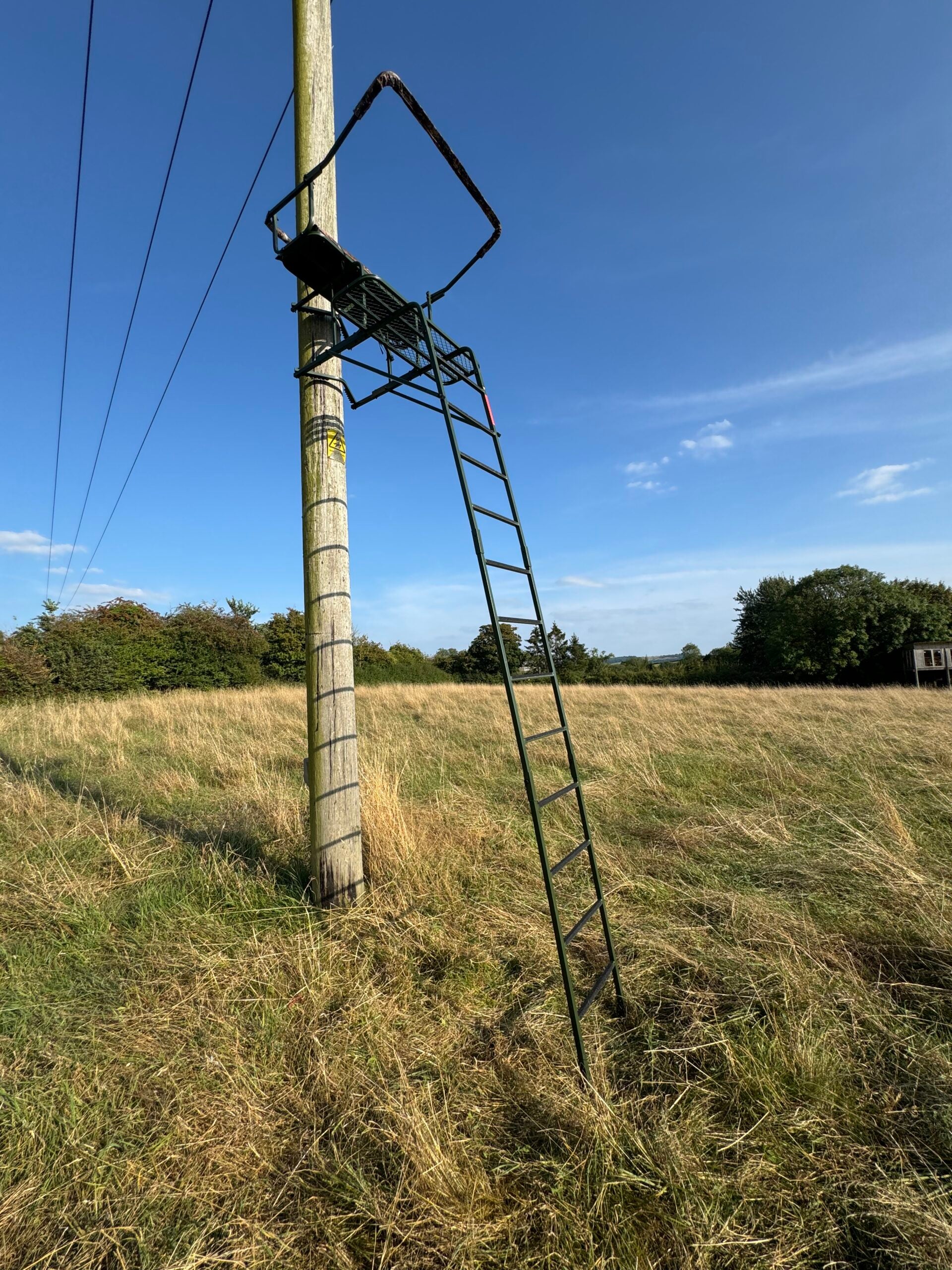 DALE double lean-to high seat ladder stand with padded seating, designed for two hunters, galvanized steel for durability.