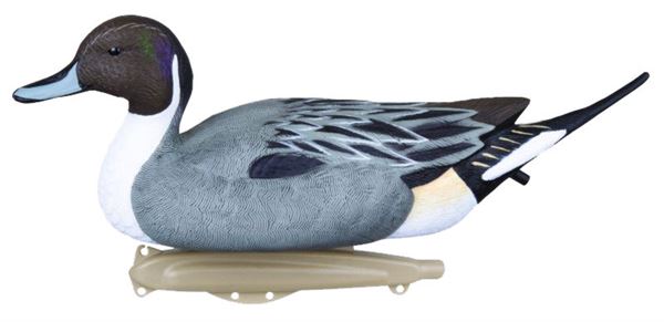 Six Flambeau Pintail Duck decoys by Dennett, realistic decoys for waterfowl hunting or decoration.
