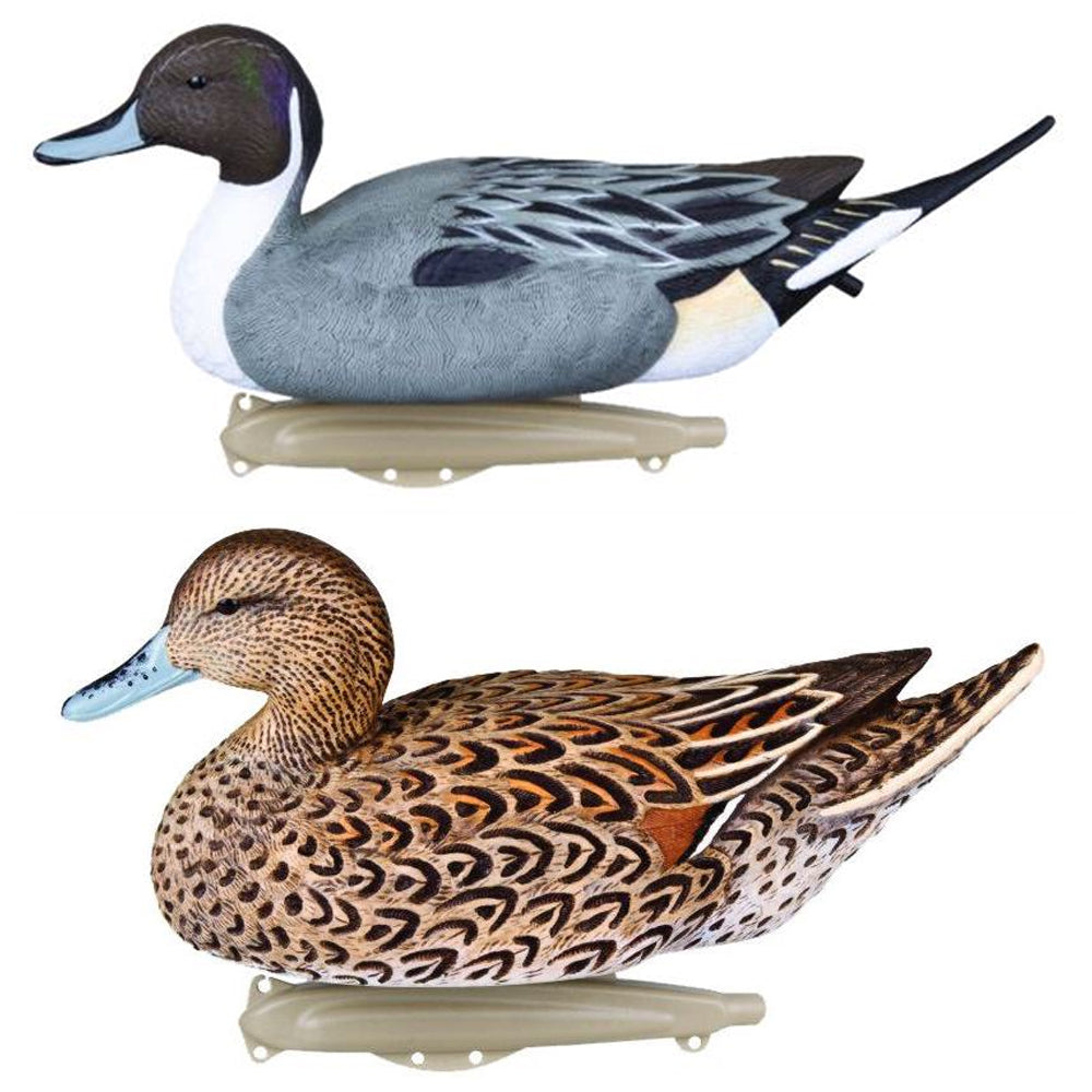 Set of six DENNETT Flambeau Pintail Duck decoys for hunting and decor, realistic waterfowl design, lightweight and durable.