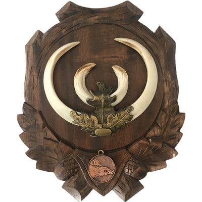 Trophy Wild Boar Mounting Service