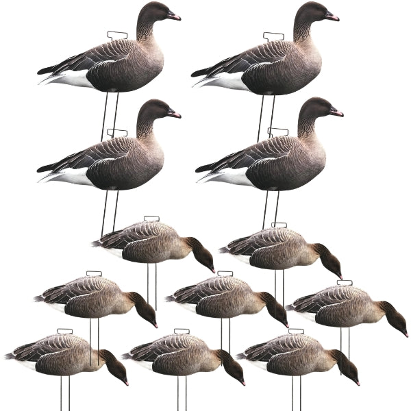 Silhouette Pinkfoot Goose Decoy Kit