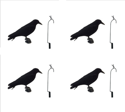 Pack of 4 flocked crow decoys with full bodies and 4 lofting hooks for hunting or bird watching by ECHO.