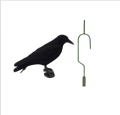 Pack of 4 flocked crow full-body decoys with 4 lofting hooks, designed for bird hunting and outdoor decoy setups.