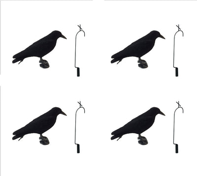 Pack of 4 ECHO flocked crow full-body decoys with 4 lofting hooks for bird hunting or wildlife decoy setup.