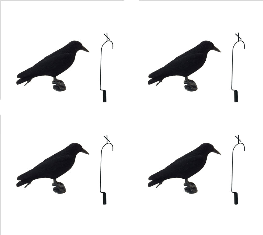 Pack of 4 ECHO flocked crow full-body decoys with 4 lofting hooks for bird hunting or wildlife decoy setup.