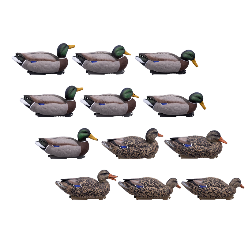 High definition mallard floaters 12 pack from A1 DecoY Ltd, showing realistic duck decoys in various positions for hunting or decor.