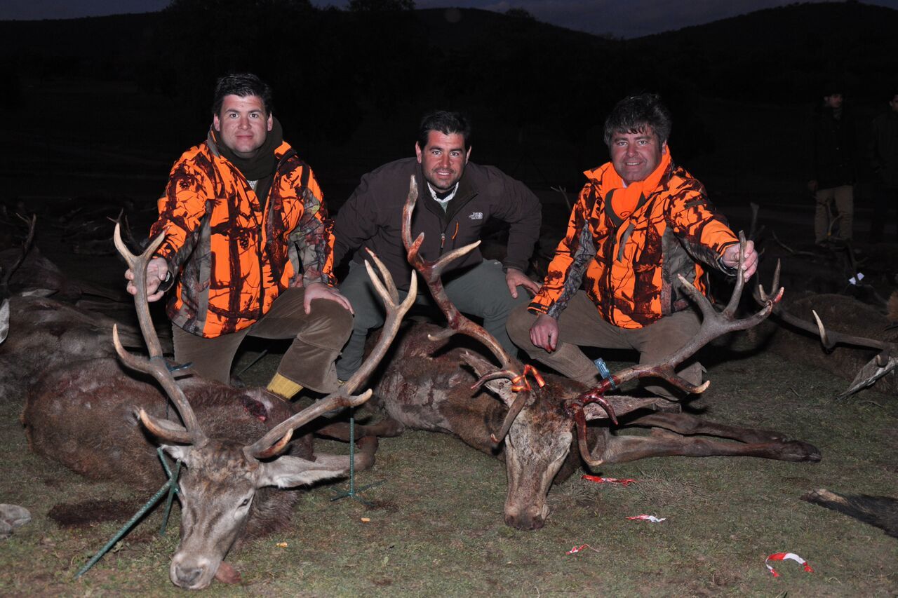 Spanish Monteria Red Stag November 2020
