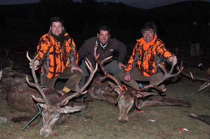 Spanish Monteria Red Stag November 2020