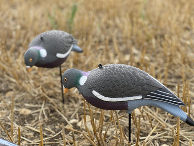 Two pigeon-shaped bird decoys in a field of dry grass.