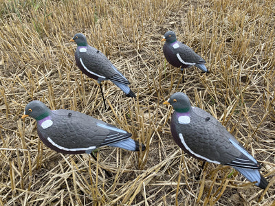 Four A1 Decoy HD pigeon decoys on a stubble field