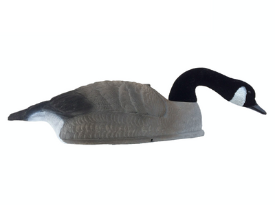 FLOCKED CANADA GOOSE SHELL DECOY