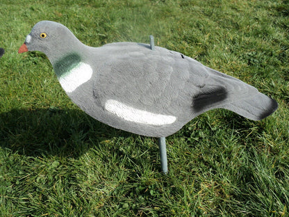 Premium Flocked Pigeon Decoy Shells