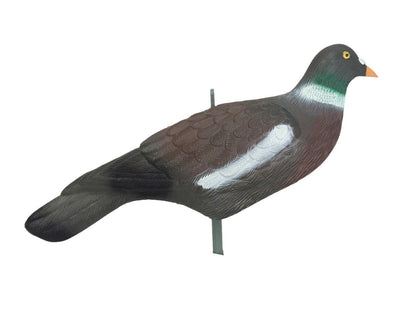 Economy Plastic Pigeon Shell Decoy