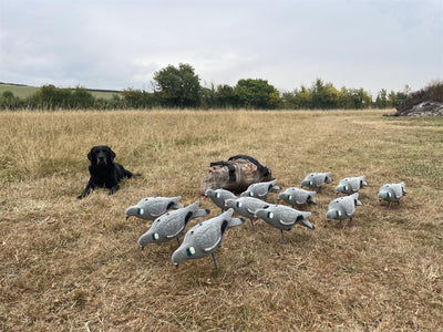 DECOY NET BAG