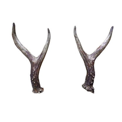 Pair of Roe Deer Antlers for Thumb Stick