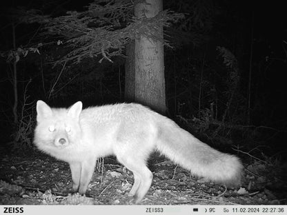 ZEISS Secacam 7 – Professional Trail Camera with Infrared & Display