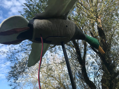 Flapping Mallard Duck Decoy