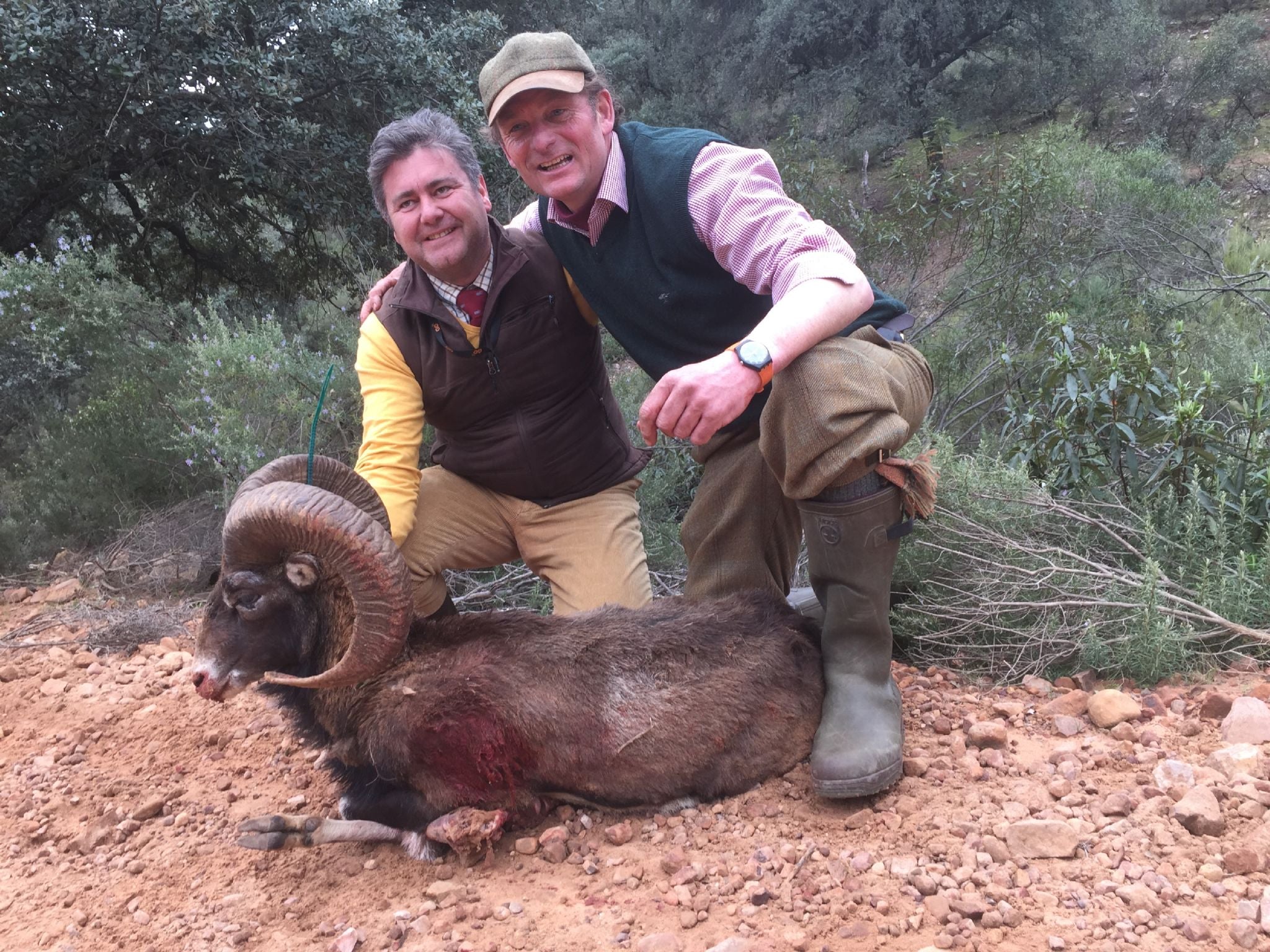 Spanish Monteria January 2021