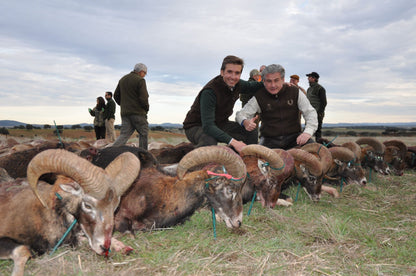 Spanish Monteria January 2021