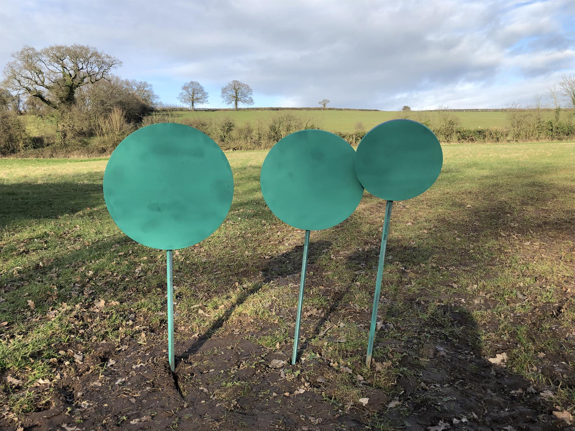 Orion Steel Targets with 9, 12, 16-inch reactive disc targets and hanging stakes for shooting practice and target shooting.