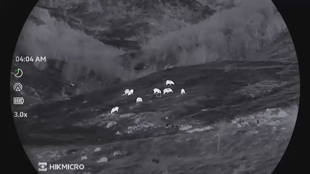 Driven Wild Boar Hunting in Turkey / Turkiye November 2026 NEW AREA THE HIDDEN VALLEY