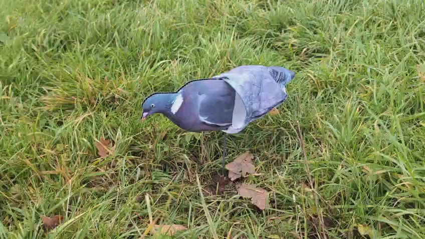 Pro Sock Pigeon Decoy Kit