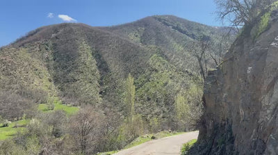 Driven Wild Boar Hunting in Turkey / Turkiye November 2026 NEW AREA THE HIDDEN VALLEY