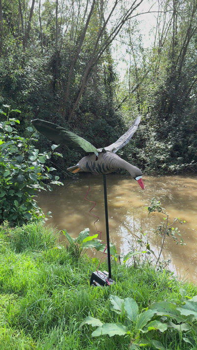 Flapping Greylag Goose Decoy