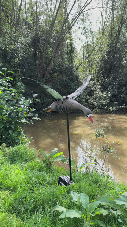 Flapping Greylag Goose Decoy