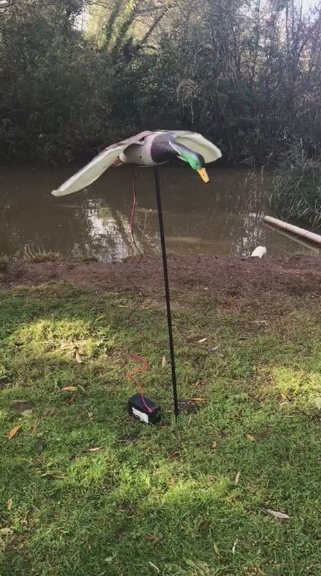 Flapping Mallard Duck Decoy