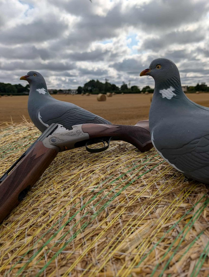 Pack of 12 A1 Decoy LTD wood pigeon decoys for hunting or birdwatching, featuring realistic design and natural wood finish.