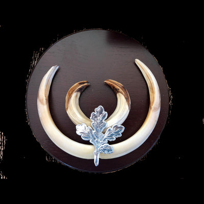 Seeland round trophy plate for wild boar, 16cm to 18cm, featuring engraved details and a polished finish.