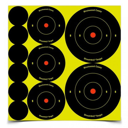 BIRCHWOOD CASEY SHOOT NC TARGETS
