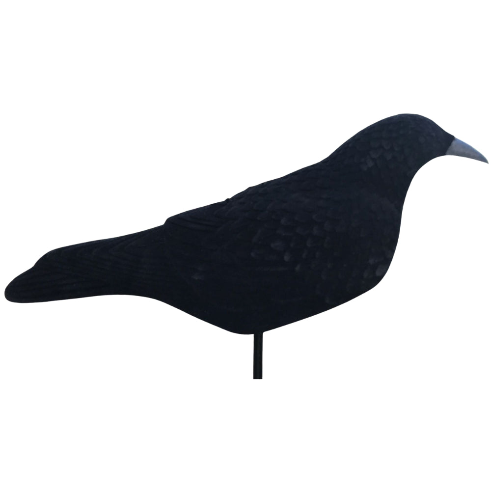 Extra Large Magnum Flocked Crow Shell Decoy