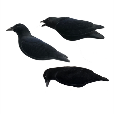 Final Approach flocked crow decoys 3-pack by A1 Decoy Ltd, realistic black crows for hunting or wildlife observation.