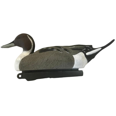 Full-body female Pintail Duck decoy by WINDY, HD decoy with realistic painted details for hunting or decoration.