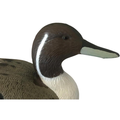 Full-body HD Pintail Duck Decoys by WINDY, featuring realistic female pintail duck decoys for hunting or decoration.
