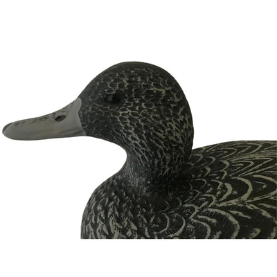 Full-body HD Pintail Duck Decoys by WINDY, featuring realistic female pintail duck decoys for hunting or decoration.