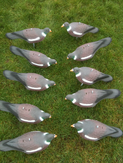 Plastic pigeon shell decoy by WINDY, used for bird control or hunting, featuring an realistic pigeon shape and lightweight design.